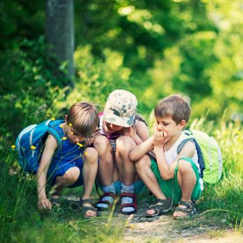 Atelier Nature: La fôret à hauteur d'enfant