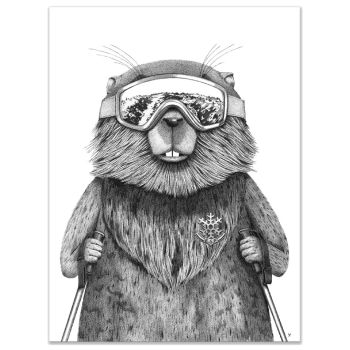 Affiche Marmotte Madame Hubert