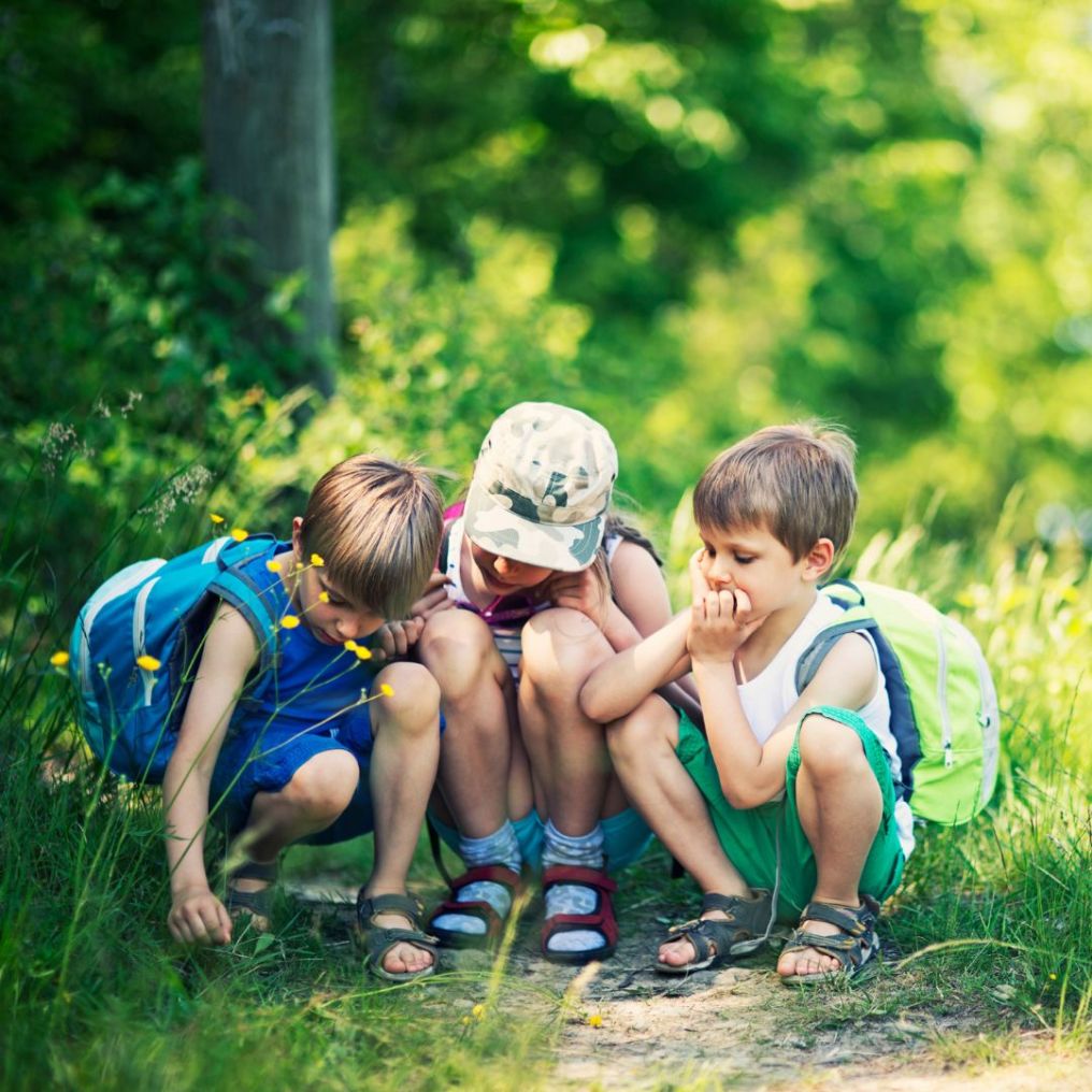 /a/t/atelier-foret-enfant.jpg