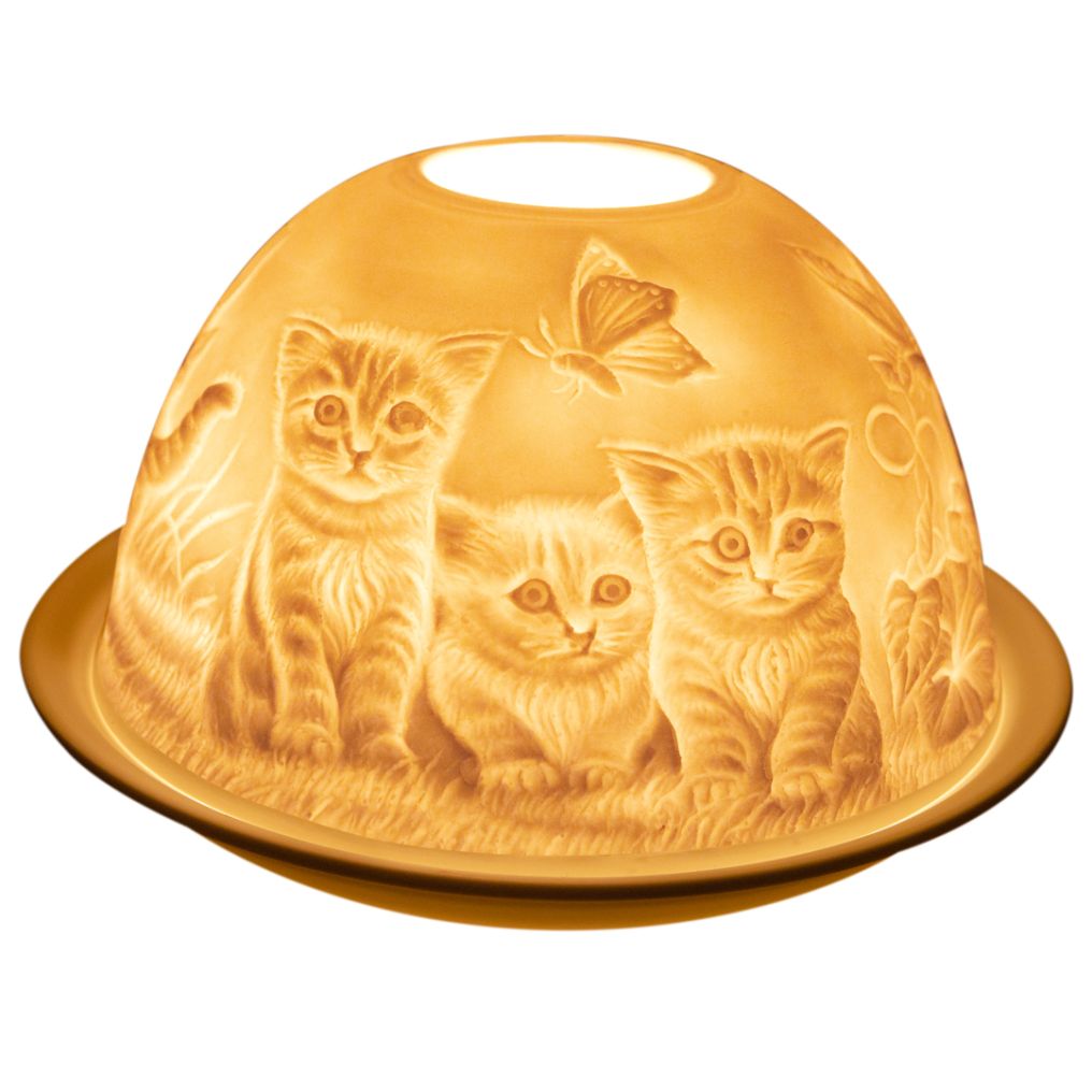 /d/o/dome-dani-creation-chat-paillon.jpg