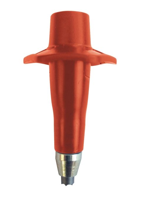 TSL pointe short