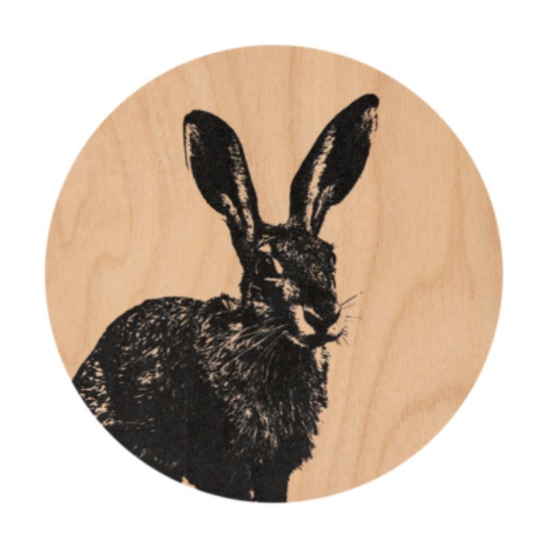 Dessous de verre Lapin