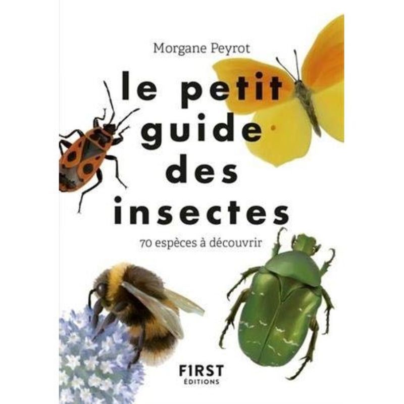 Le petit guide des insectes
